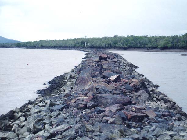 Satellite Wall at low tide, Fitzroy River. 
